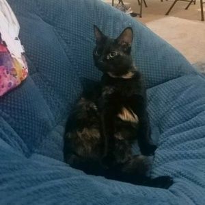 Meet your Posher, Regina